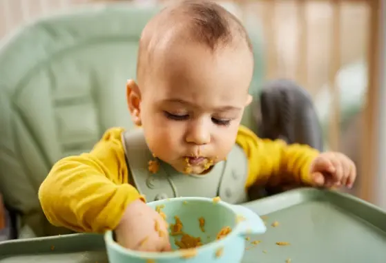 Caracteristicas alimentos